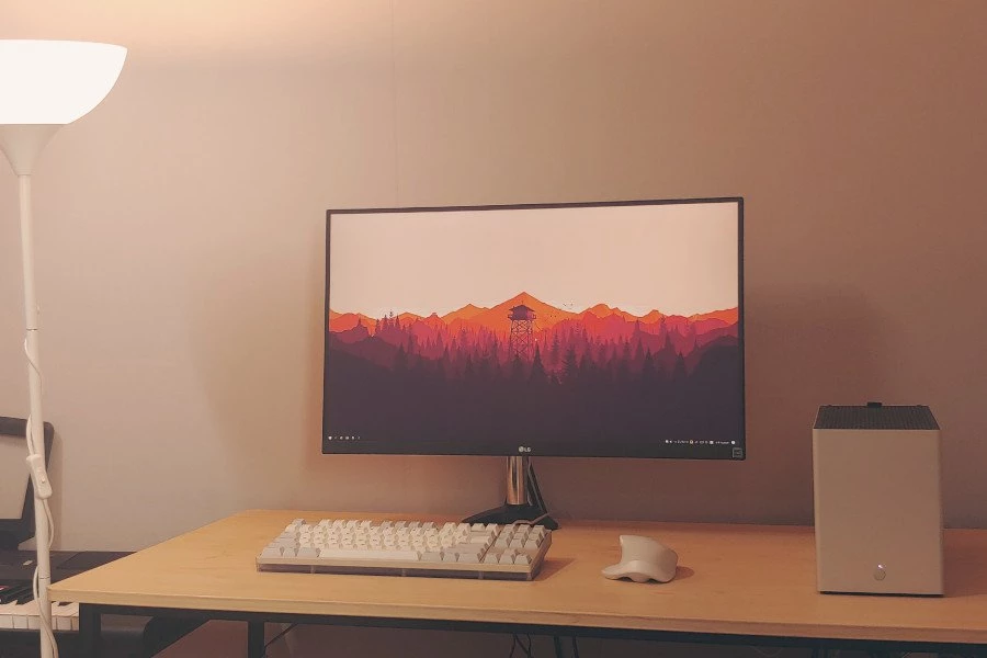 Basic Elegant PC gaming room
