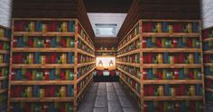 Elegant Modern Day Minecraft Library Concept